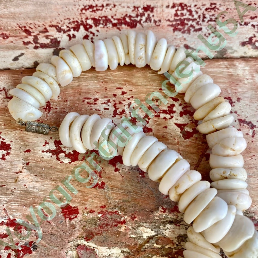 Natural  Large Hawaiian Puka Shell Choker Necklace Yourgreatfinds