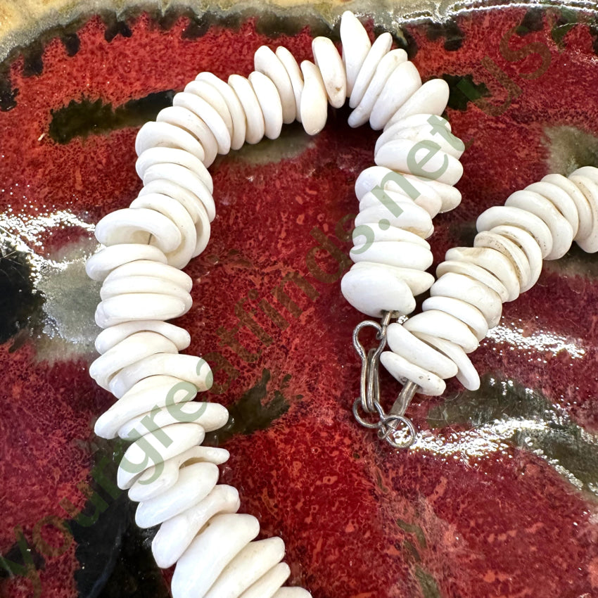 Natural Large Hawaiian Puka Shell Choker Necklace Necklace