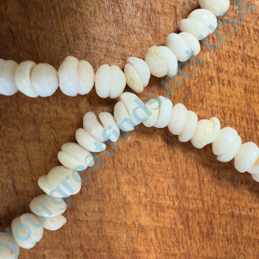 Natural Small Hawaiian Puka Shell Choker Necklace 18’’ L Necklace