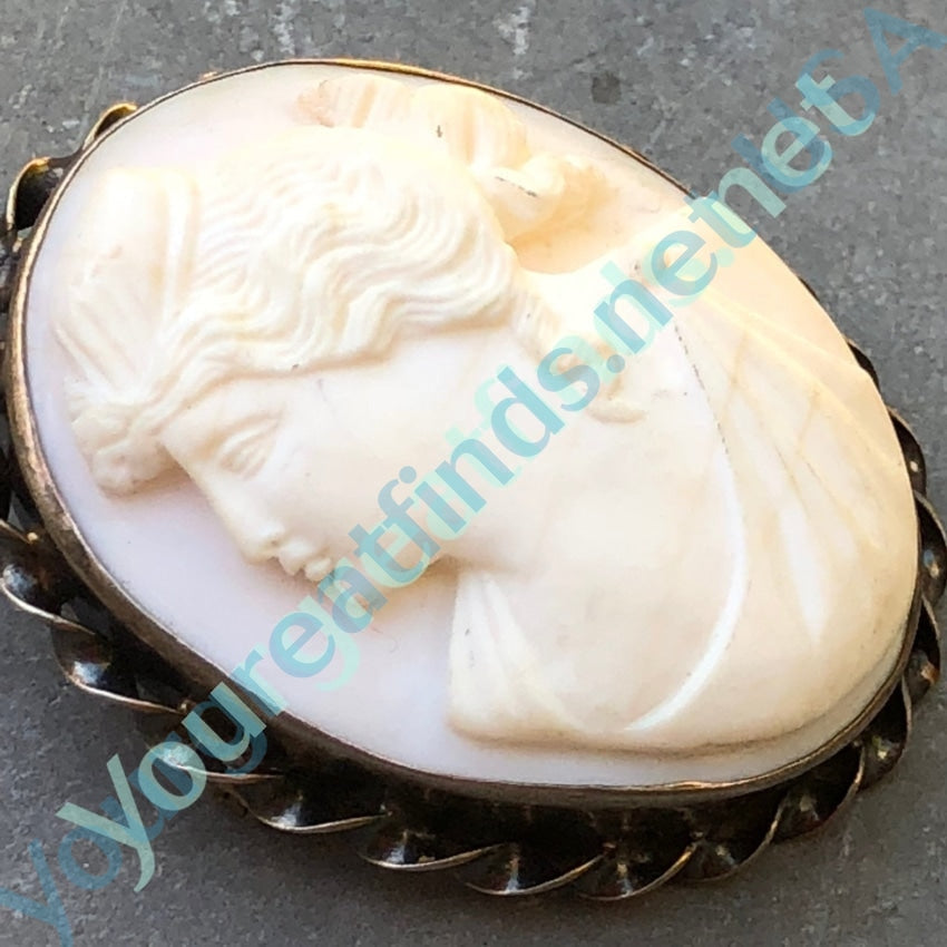 Pale Pink Conch Shell Cameo Brooch Yourgreatfinds