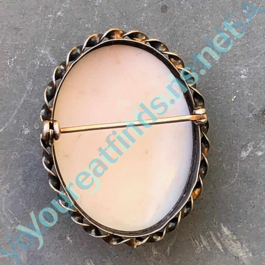 Pale Pink Conch Shell Cameo Brooch Yourgreatfinds