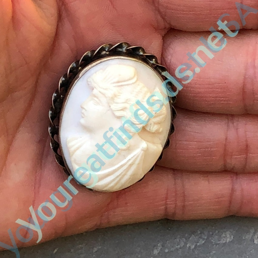 Pale Pink Conch Shell Cameo Brooch Yourgreatfinds