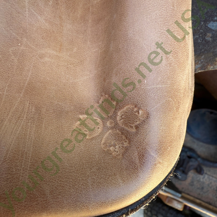 Patricia Nash Vasto Italian Leather Backpack backpack