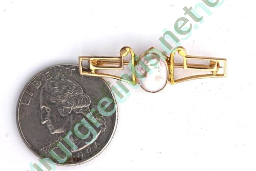 Pink Conch Shell 10k Gold Cameo Bar Pin Yourgreatfinds