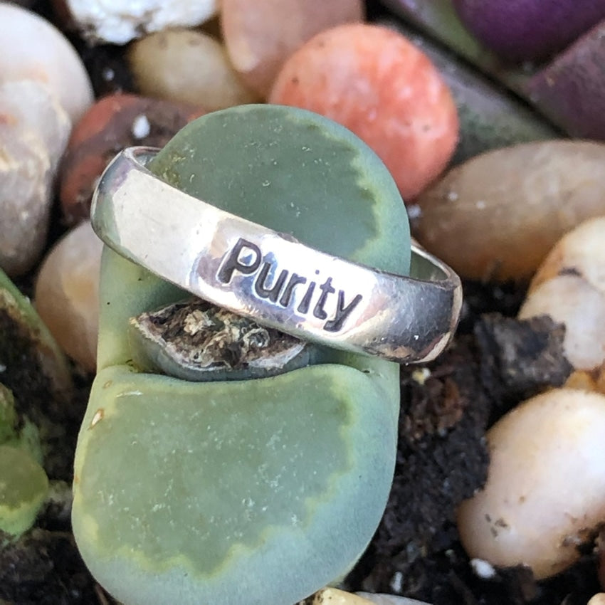 Purity Ring in Sterling Silver Size 9 Yourgreatfinds