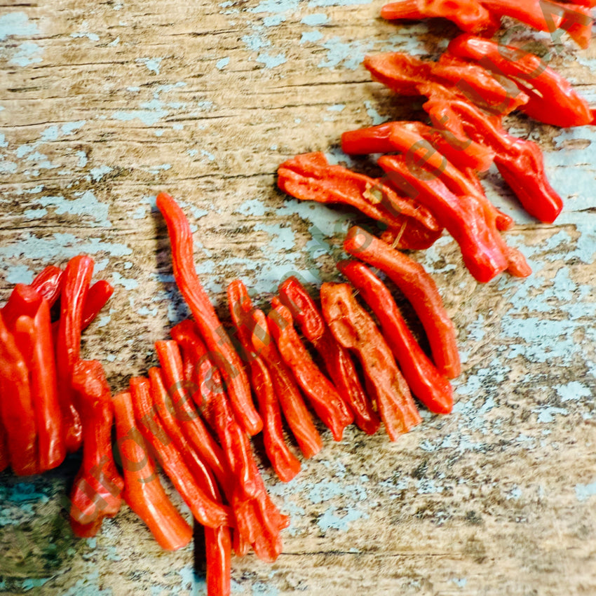 Rustic Vintage Red Branch Coral Necklace necklace