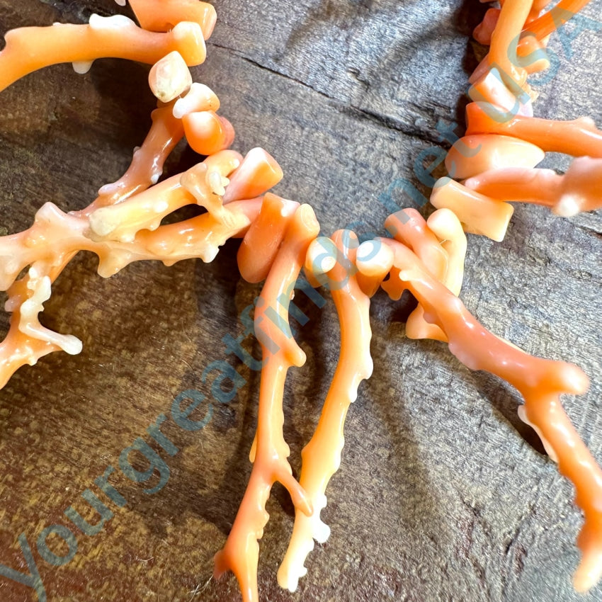 Rustic Vintage Salmon Branch C0Ral Necklace 17 Necklace