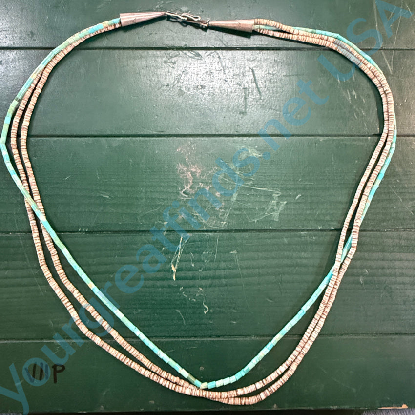 Santo Domingo Turquoise & Shell Heishi Bead Necklace Necklace