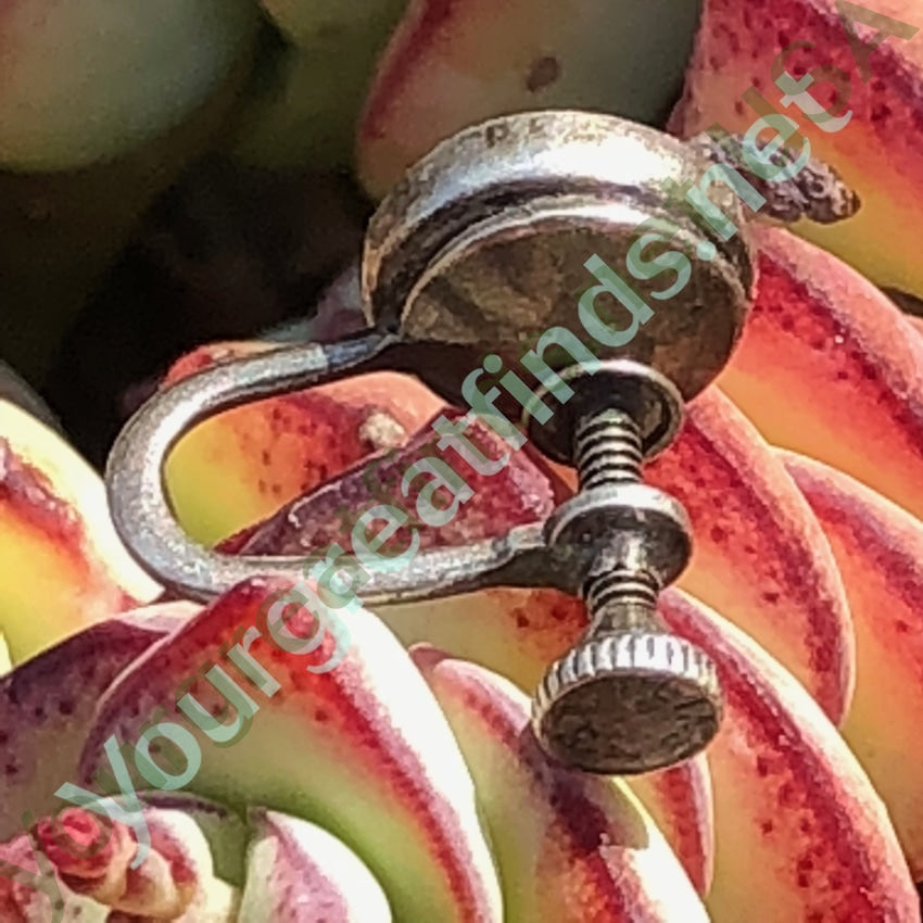 Single Earring Sterling Silver with Turquoise Screw Back Yourgreatfinds