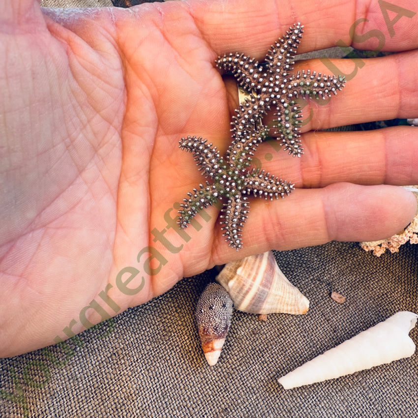 Solid Sterling Silver Starfish Pierced Post Earrings earrings