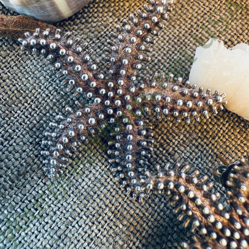 Solid Sterling Silver Starfish Pierced Post Earrings earrings