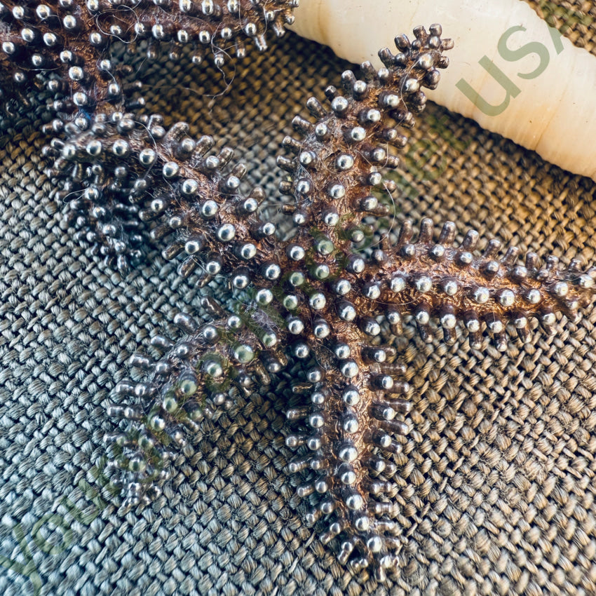 Solid Sterling Silver Starfish Pierced Post Earrings earrings