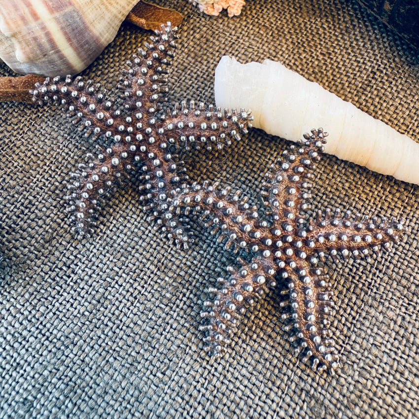 Solid Sterling Silver Starfish Pierced Post Earrings earrings