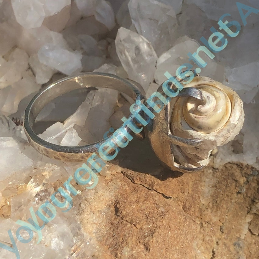 Starborn Fossil Druzy Shell Ring in Sterling Silver size 11 Yourgreatfinds