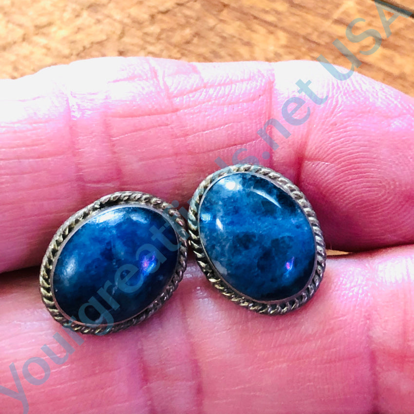 Sterling Silver & Denim Sodalite Pierced Post Stud Earrings Earrings