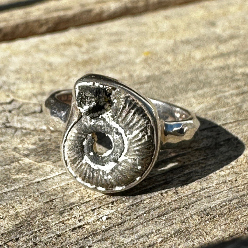 Sterling Silver & Fossil Ammonite Ring Size 6 Ring