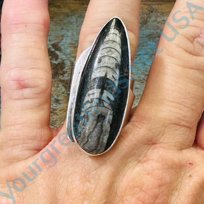 Sterling Silver Ring Orthoceras Fossil Size 8