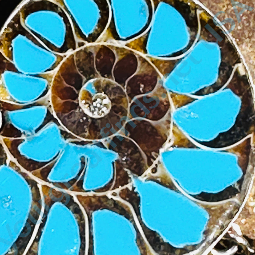 Sterling Silver & Turquoise Enamel Filled Ammonite Bracelet Bracelets