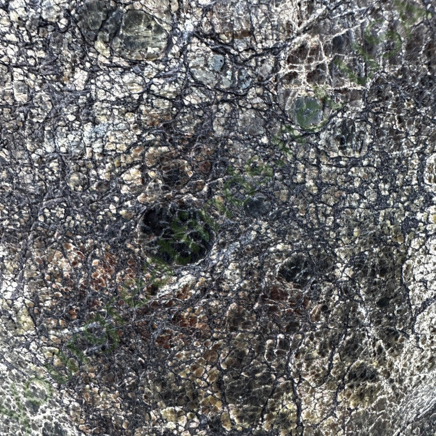 Steven Madden Reins Distressed Leather “Riding” Boots Size 7 Boots