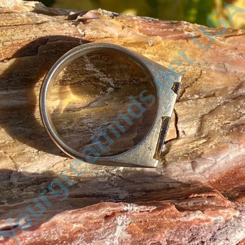 Tigers Eye Sterling Silver Ring 10