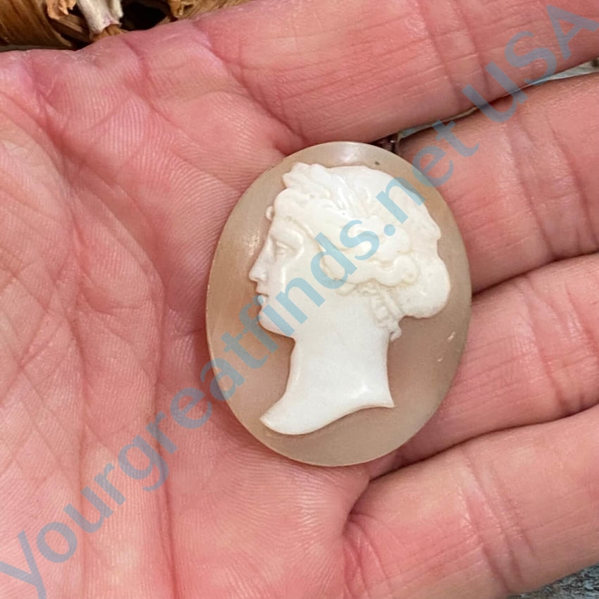 Time Worn Antique Shell Cameo Unset
