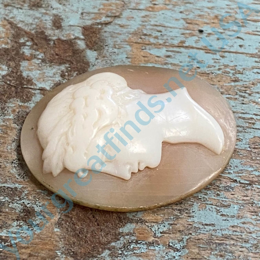 Time Worn Antique Shell Cameo Unset