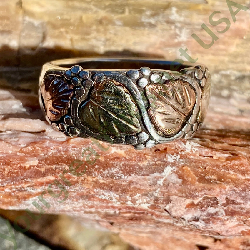 Time Worn Smooth Sterling Silver Tricolored 12K Gold Ring 9