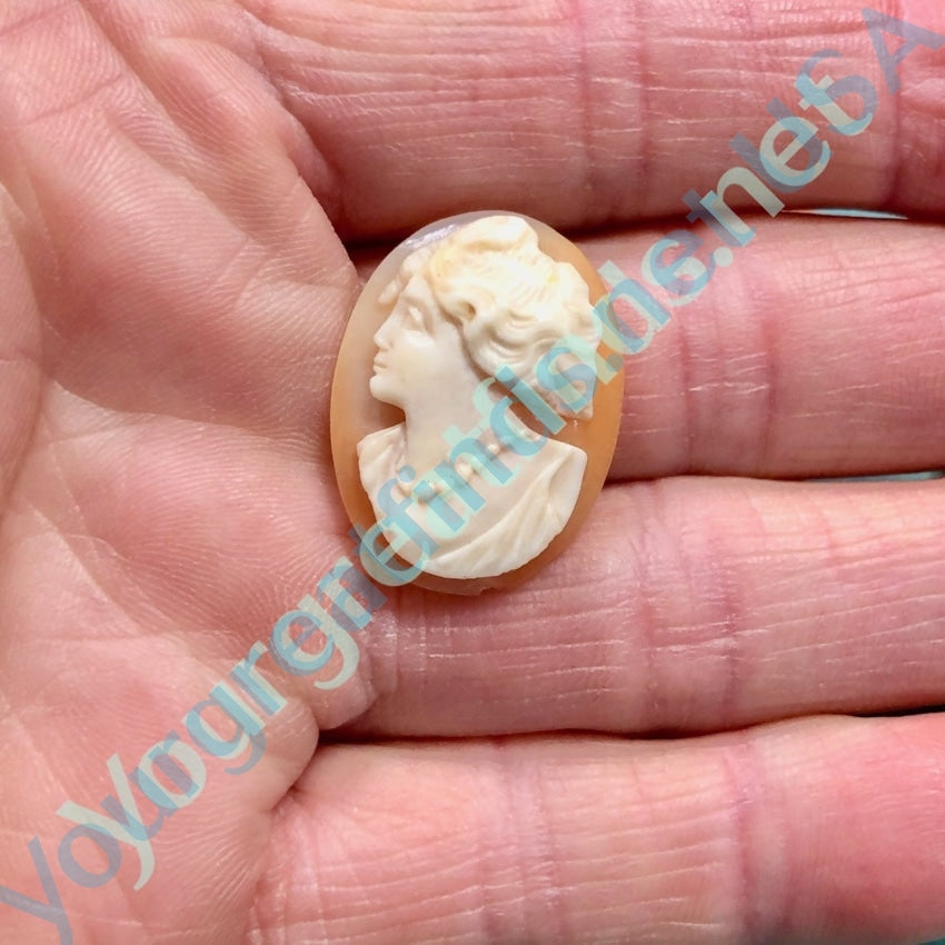 Unset Cameo Hand Carved Shell Italian Antique Yourgreatfinds