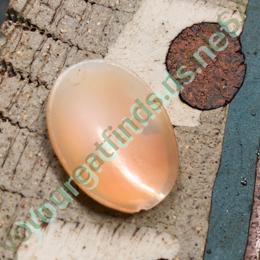 Unset Cameo Hand Carved Shell Italian Antique Yourgreatfinds