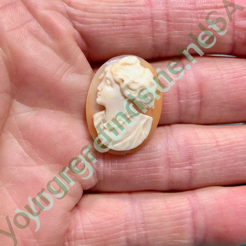 Unset Cameo Hand Carved Shell Italian Antique Yourgreatfinds