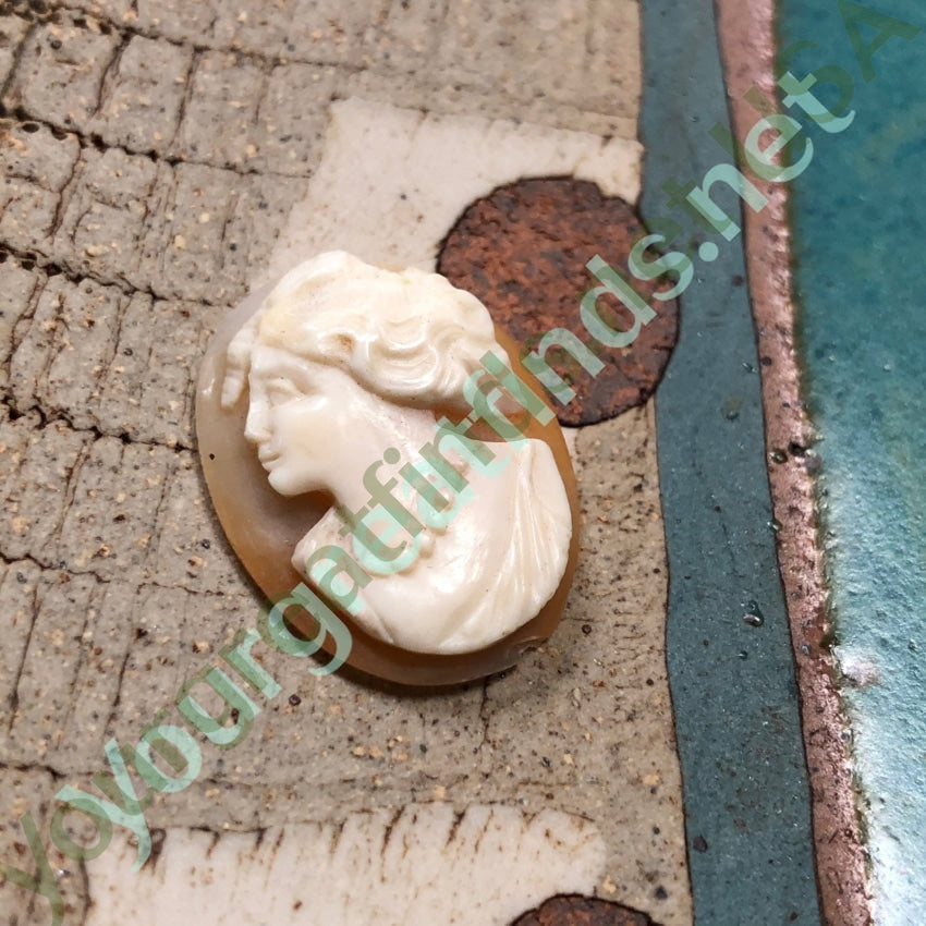 Unset Cameo Hand Carved Shell Italian Antique Yourgreatfinds