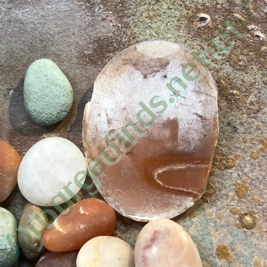 Unset Hand Carved Shell Cameo Antique Yourgreatfinds