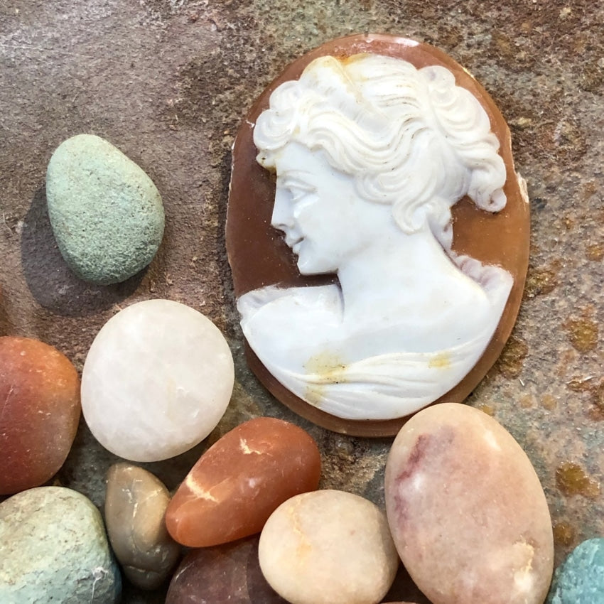 Unset Hand Carved Shell Cameo Antique Yourgreatfinds