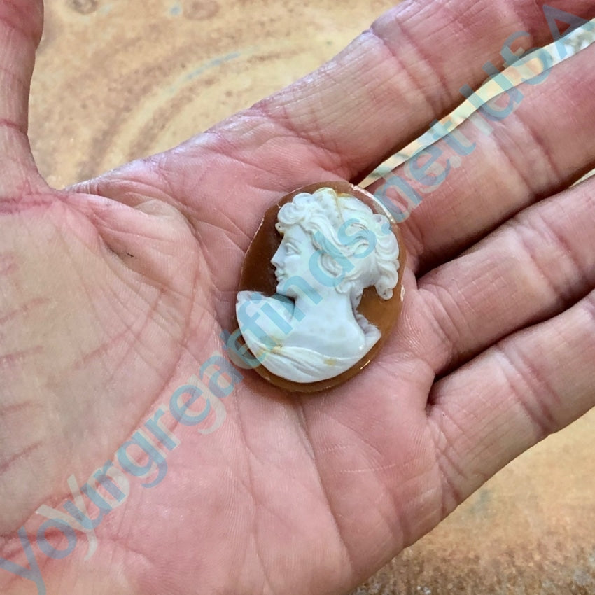 Unset Hand Carved Shell Cameo Antique Yourgreatfinds