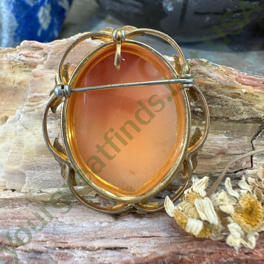 Van Dell 12K Yellow Gold Pendant Pin Shall Cameo