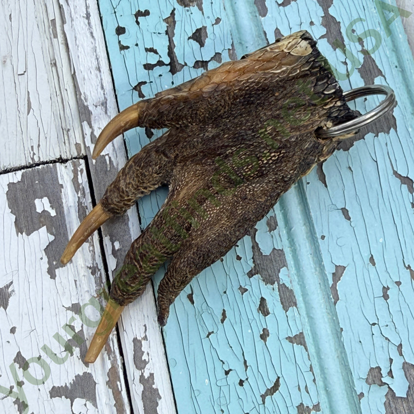 Vintage Alligator Foot Keychain Good Luck keychain