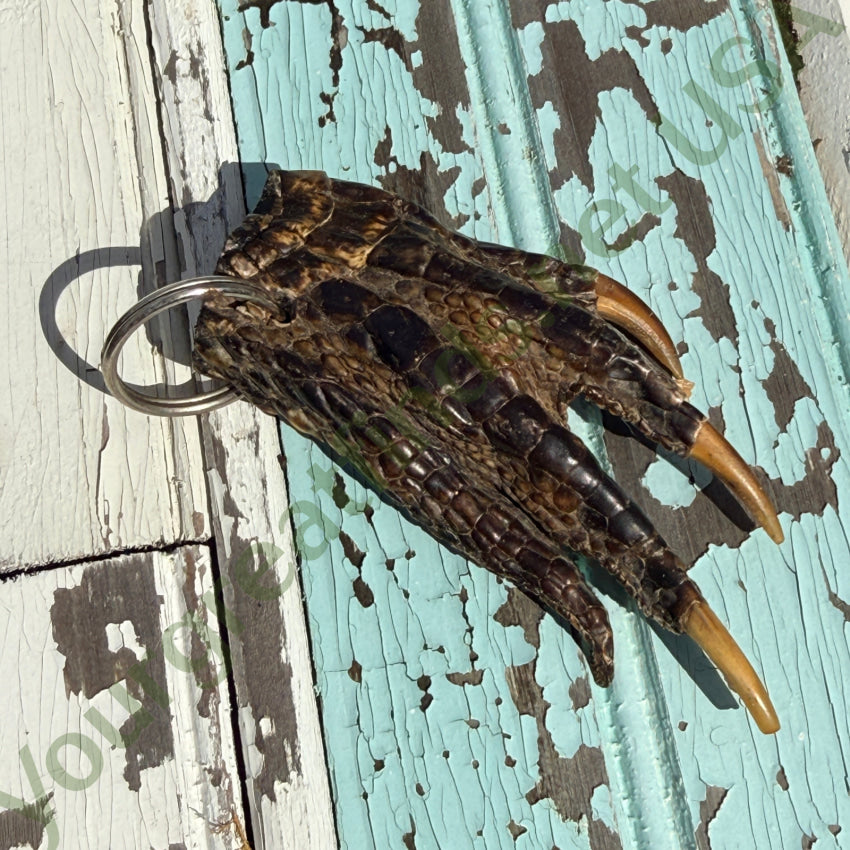 Vintage Alligator Foot Keychain Good Luck keychain