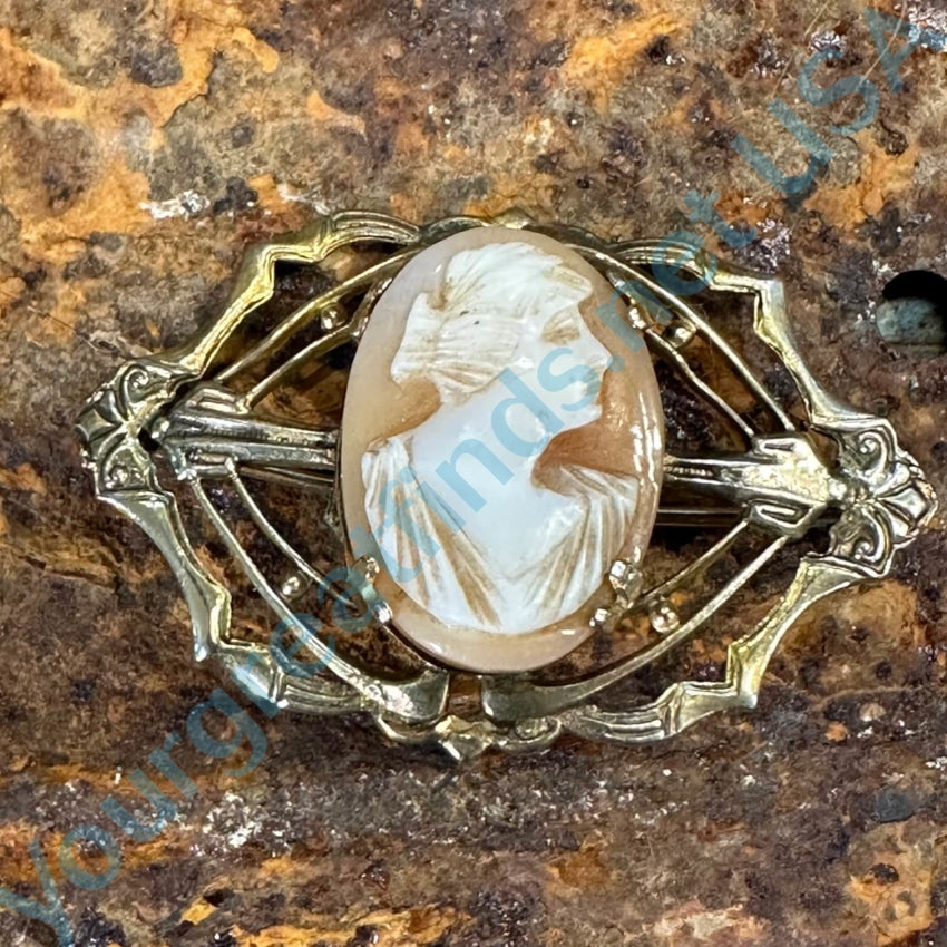 Vintage Art Deco Era Carved Shell Cameo Pin Brooch