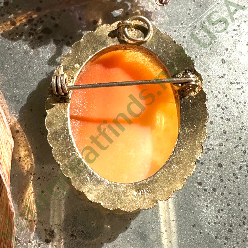 Vintage Carved Shell Cameo Brass Setting Brooch Pendant