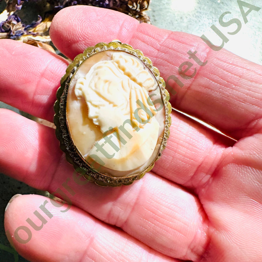 Vintage Carved Shell Cameo Brass Setting Brooch Pendant