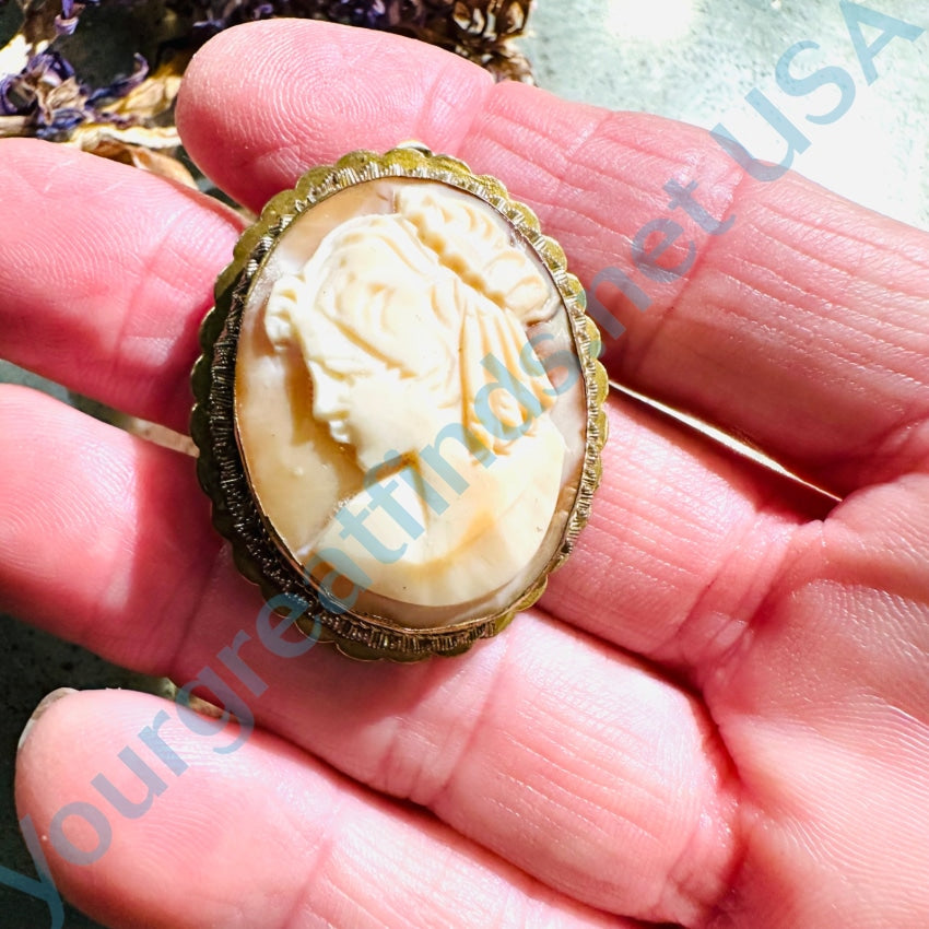Vintage Carved Shell Cameo Brass Setting Brooch Pendant