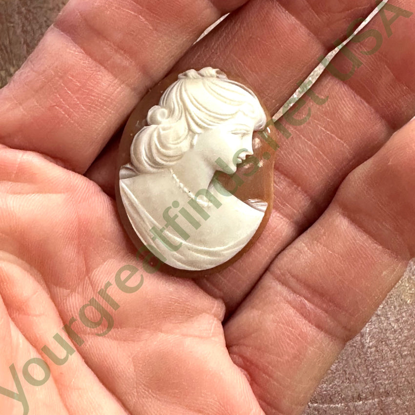 Vintage Carved Shell Unset Cameo
