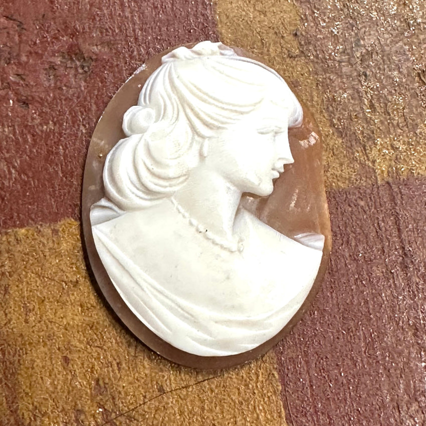 Vintage Carved Shell Unset Cameo
