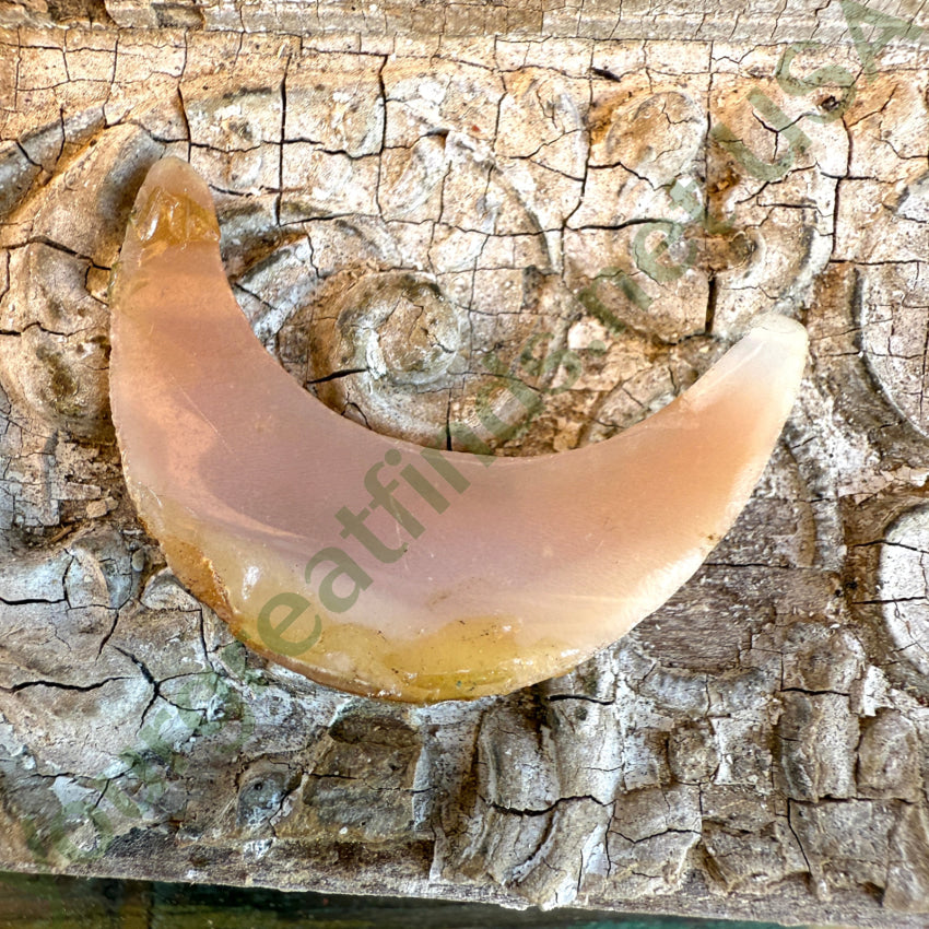 Vintage Carved Shell Unset Crescent Cameo