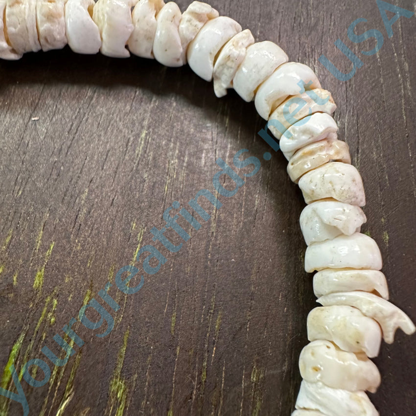 Vintage Chunky Chippy White Cone Shell Necklace Necklace