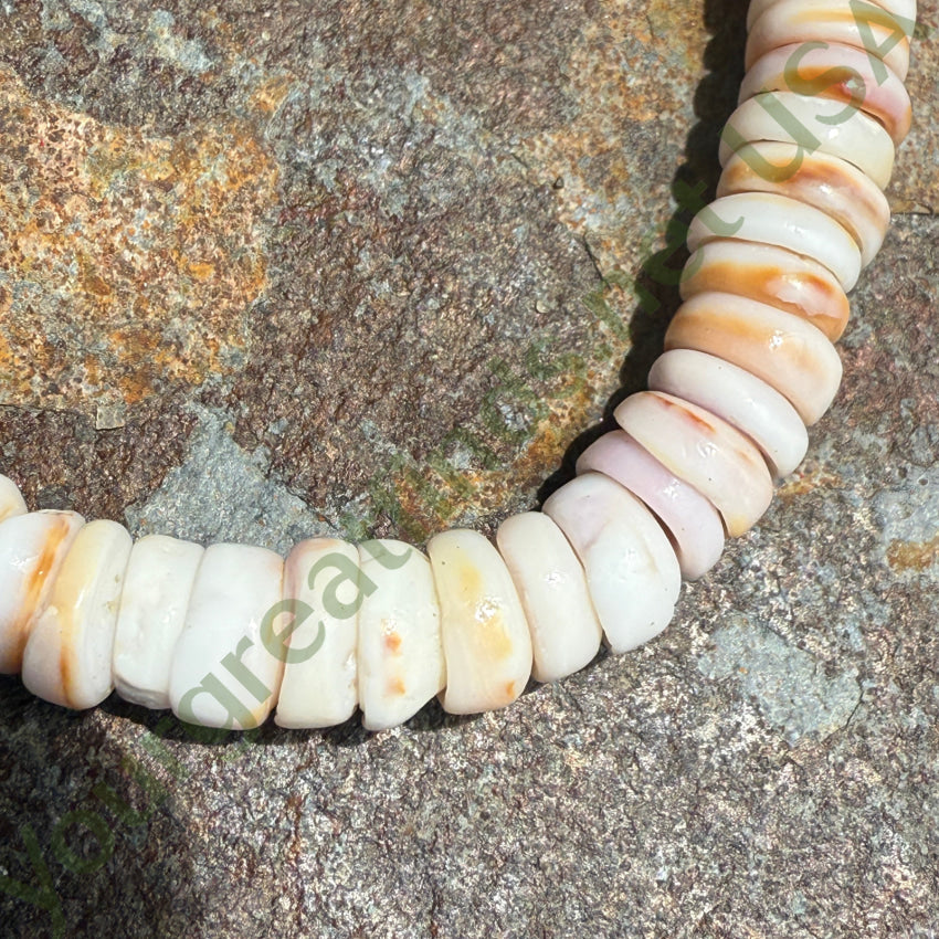 Vintage Cone Shell Necklace necklace