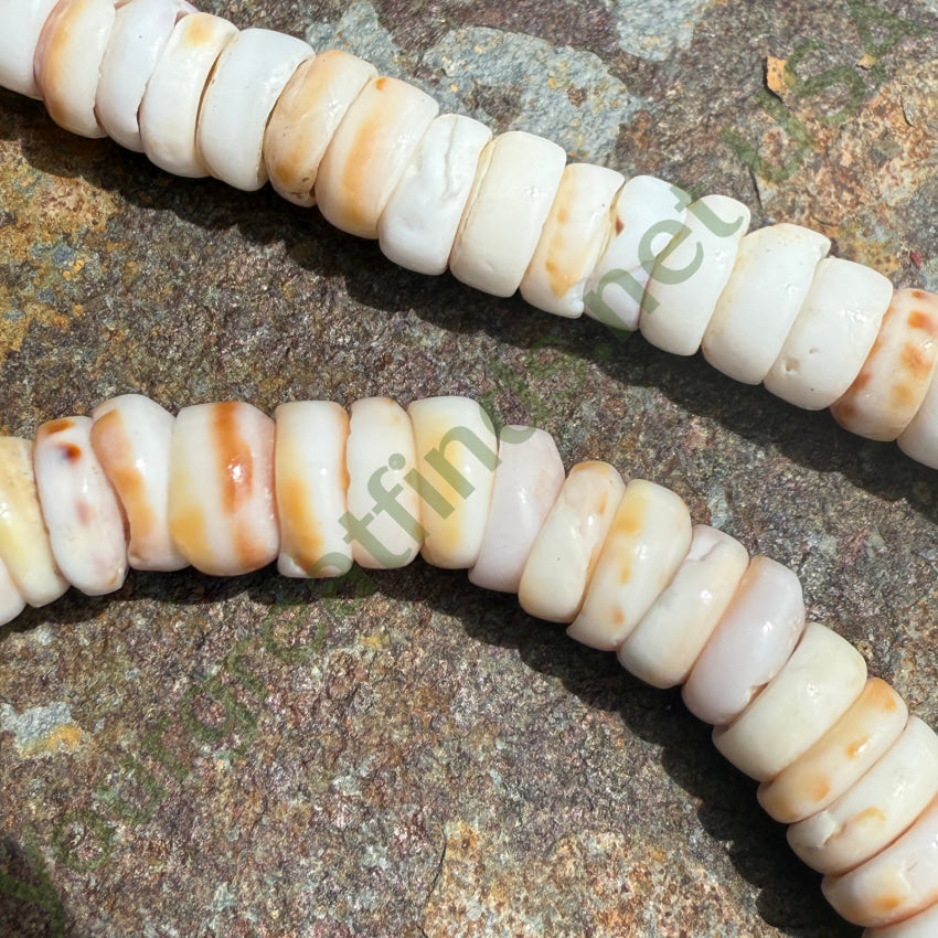 Vintage Cone Shell Necklace necklace