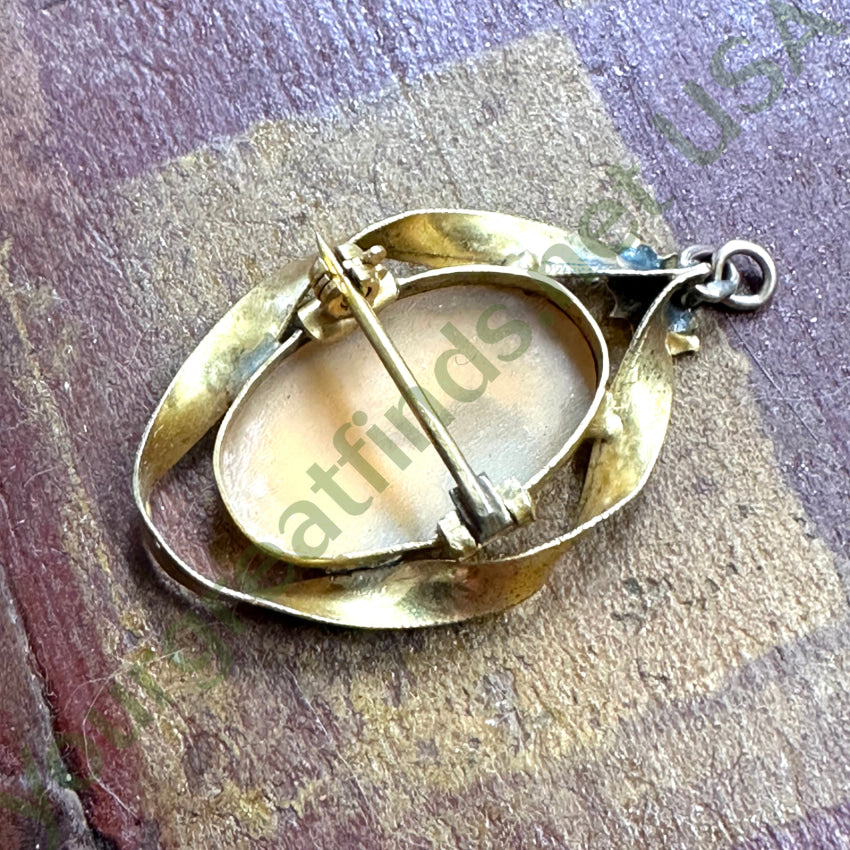 Vintage Gold Filled Carved Shell Cameo Pin Pendant