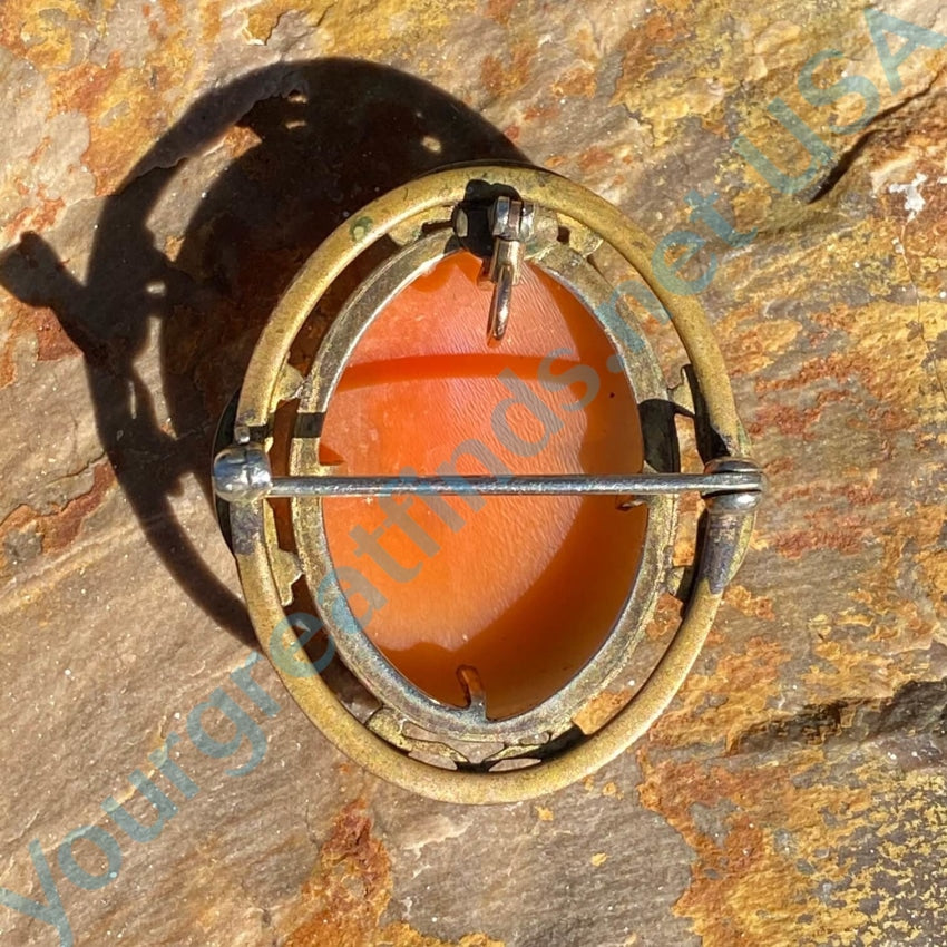 Vintage Gold Over Brass Carved Shell Cameo Pin Pendant