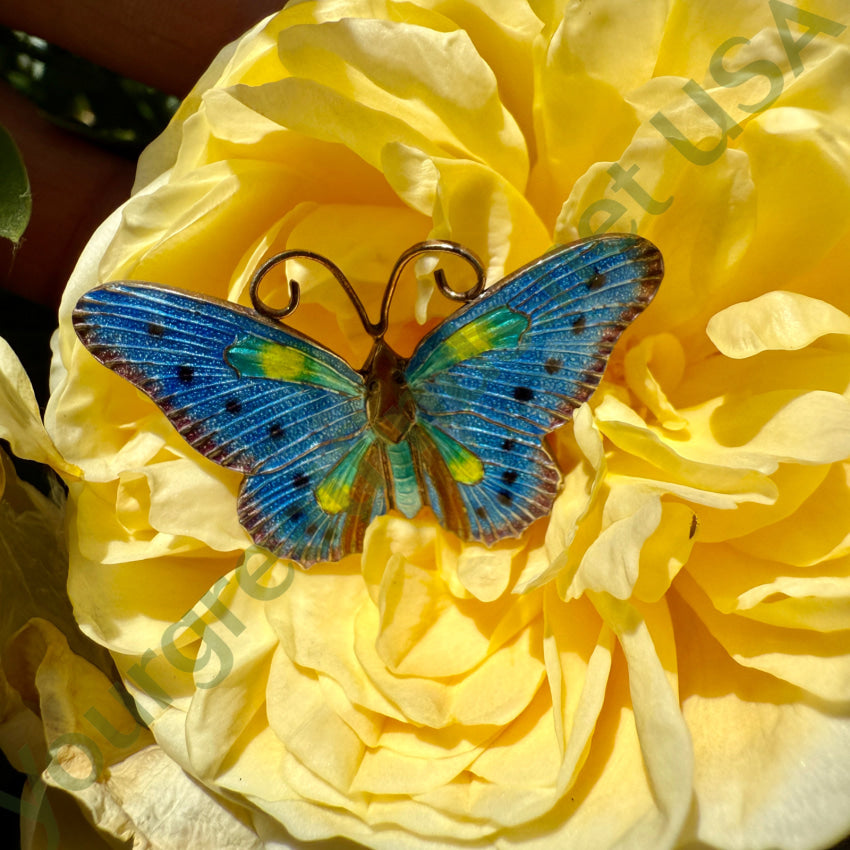Vintage Gold Washed GUilloched Enamel Butterfly Pin S925 pin